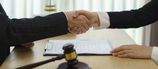 Professionnels du droit : activité de consultation juridique