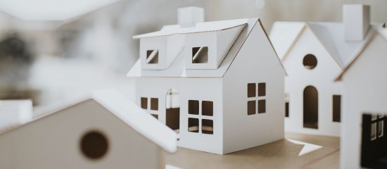 Une SCI qui souscrit un emprunt pour acheter un immeuble est-elle un professionnel ?