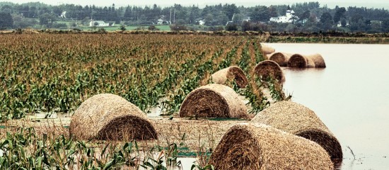 Déduction pour épargne de précaution : quelles conditions pour l’exonération fiscale ?