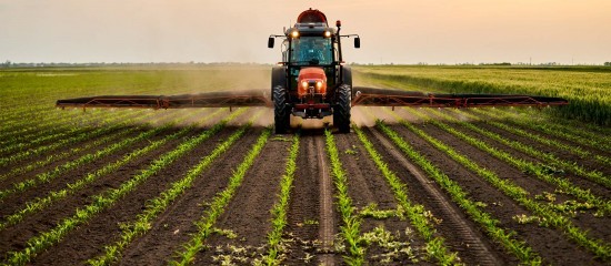 Environnement : responsabilité de l’État pour préjudice écologique