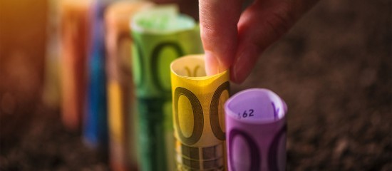 Exploitants agricoles : hausse du montant 2025 de plusieurs aides Pac