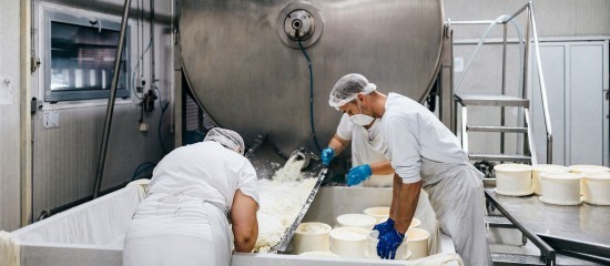 Production laitière : la Chine impose de nouveaux droits de douane sur les produits laitiers