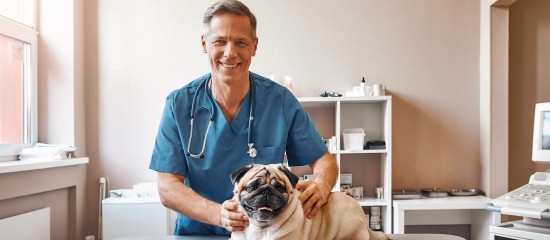 Vétérinaires : simplification de la procédure d’obtention de la subvention à l’achat d’équipements ergonomiques