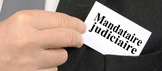 Administrateurs et mandataires judiciaires : démographie au 1 janvier 2026