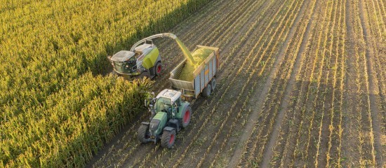 La production agricole en hausse de 4,7 % en 2025