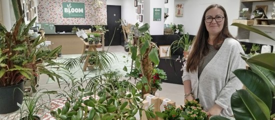 Bloom Végétal donne une seconde vie aux plantes abîmées destinées à être jetées