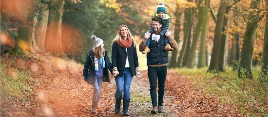 Jours fériés du mois de novembre : comment procéder ?